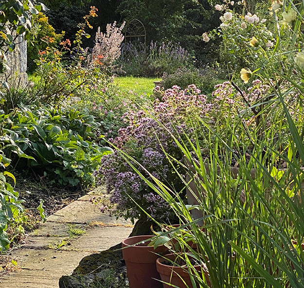 millStream cottage garden
